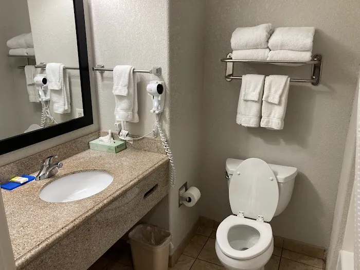 Holiday Inn Express & Suites San Antonio South 410, an IHG Hotel 5