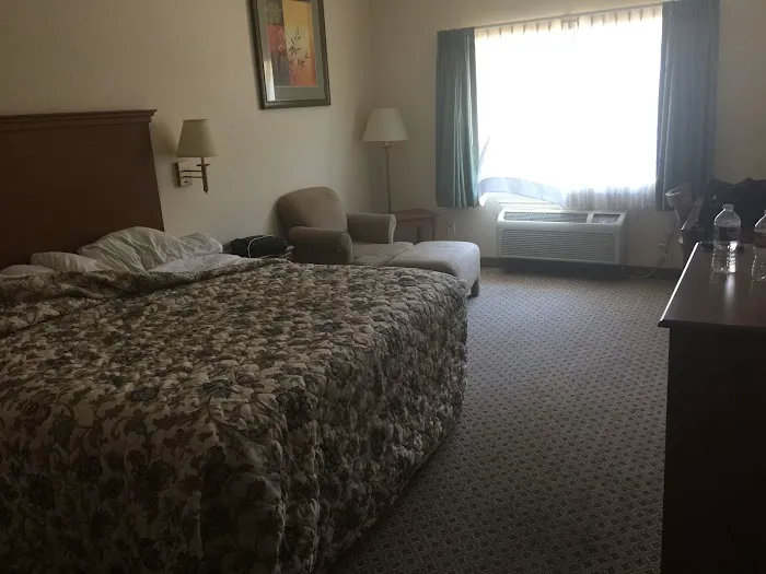 Days Inn by Wyndham San Antonio at Palo Alto 5