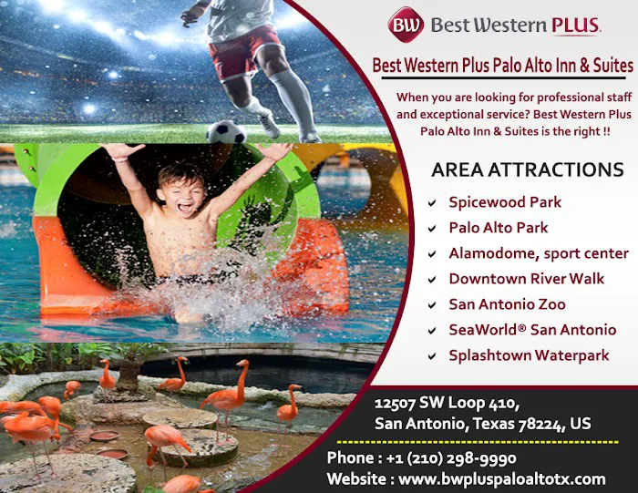 Best Western Plus Palo Alto Inn & Suites 5