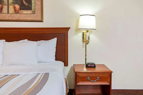 La Quinta Inn by Wyndham San Antonio Lackland 5