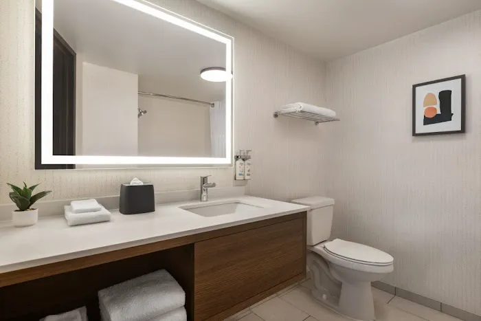 Holiday Inn Nashville Downtown - Stadium by IHG 5
