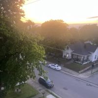 The Leland ico