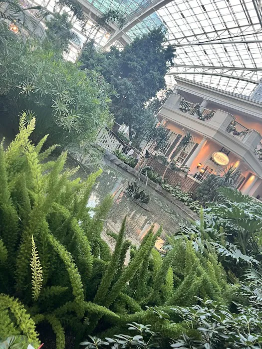 Opryland Convention Center- Expo Hall Entrance 5