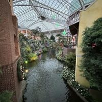 Relâche Spa at Gaylord Opryland Resort ico