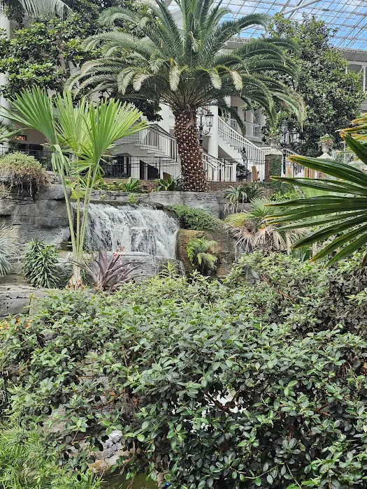 Magnolia Portico 5