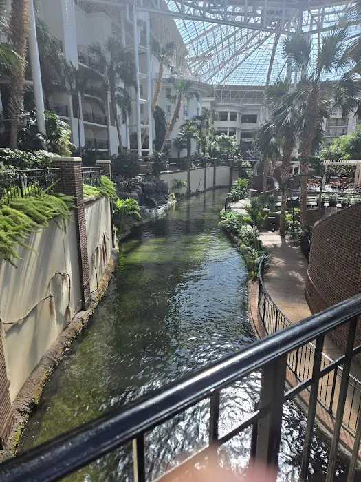 Gaylord Opryland Hotel 5