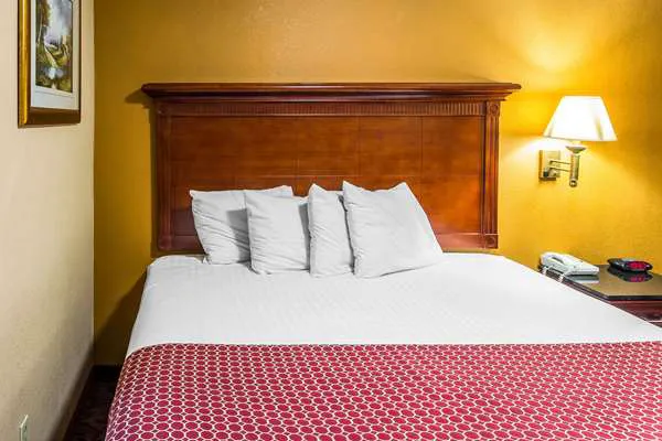Rodeway Inn 5