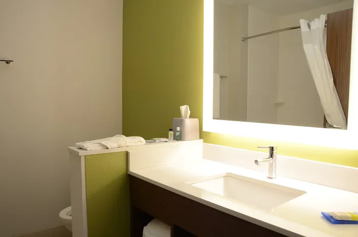 Holiday Inn Express & Suites Goodlettsville N - Nashville by IHG 4