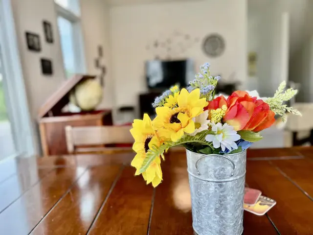 Nashville Vacation Rentals 5