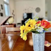 Nashville Vacation Rentals ico