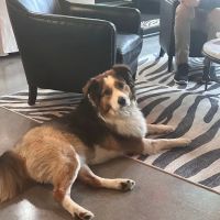 Sales Manager RIGH ico