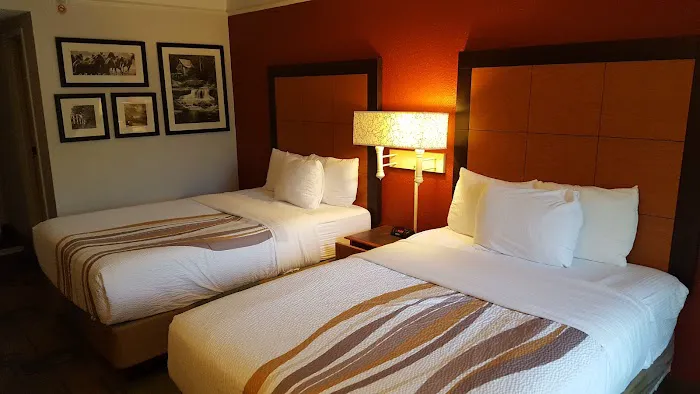 La Quinta Inn & Suites by Wyndham Nashville Airport/Opryland 5
