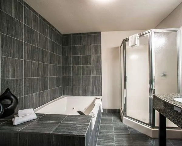 Comfort Suites Nashville Airport - BNA 4
