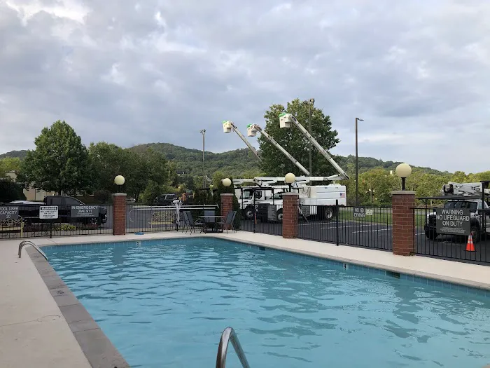 Comfort Inn & Suites 4