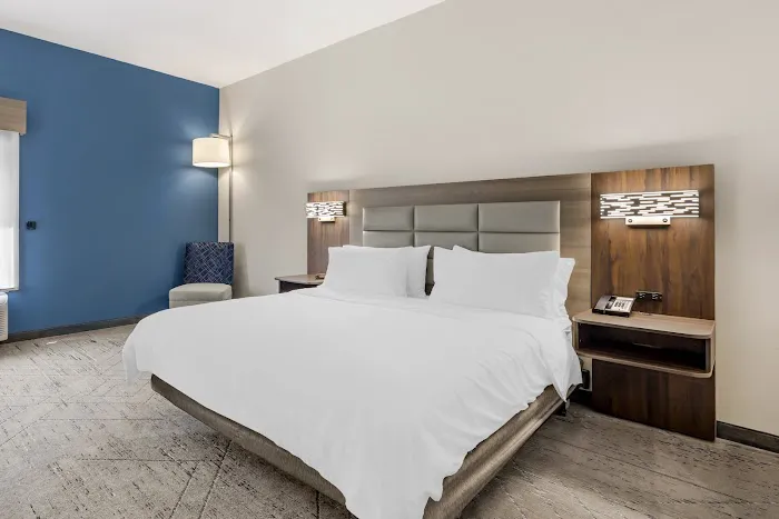 Holiday Inn Express & Suites Nashville Southeast - Antioch by IHG 4