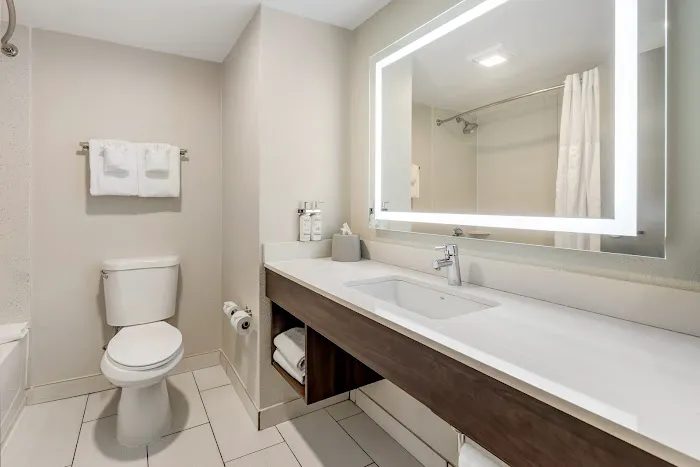 Holiday Inn Express & Suites Nashville Southeast - Antioch by IHG 4