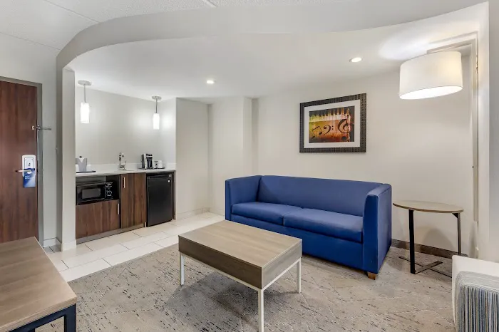 Holiday Inn Express & Suites Nashville Southeast - Antioch by IHG 4