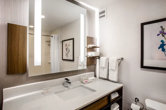 Hilton Garden Inn Nashville/Smyrna 4
