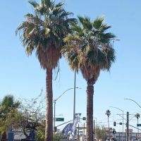 OYO Hotel Mesa AZ Downtown East ico