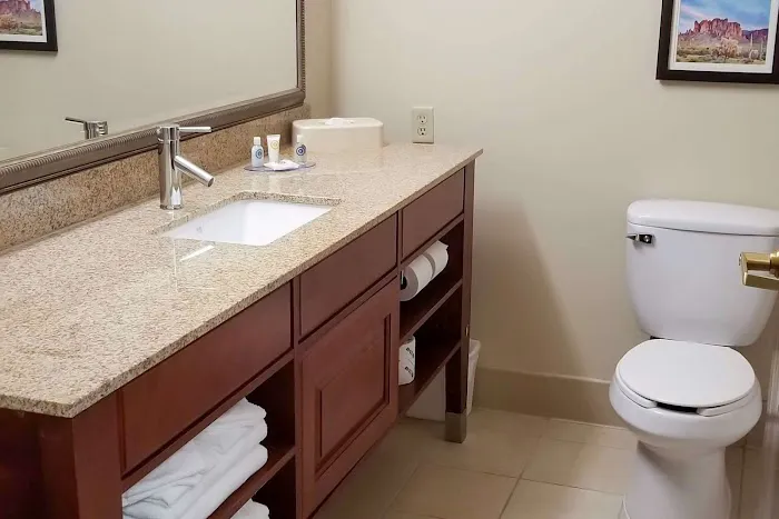 Comfort Inn & Suites Tempe Phoenix Sky Harbor Airport 4