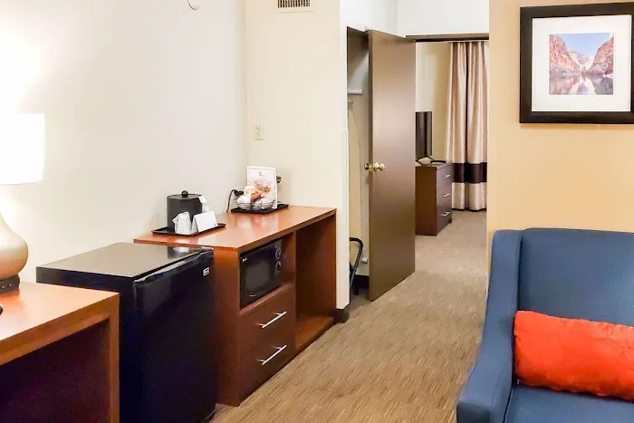 Comfort Inn & Suites Tempe Phoenix Sky Harbor Airport 4