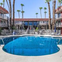 Tempe Oasis ico