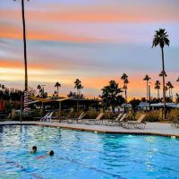 Venture Out Resort ico