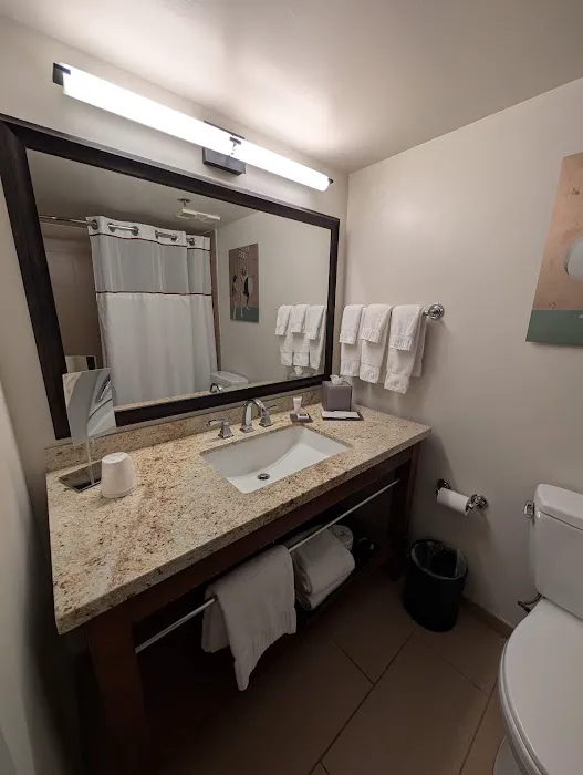 Tempe Mission Palms, a Destination by Hyatt Hotel 4
