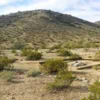 Desert Arroyo By Raintree Vac ico