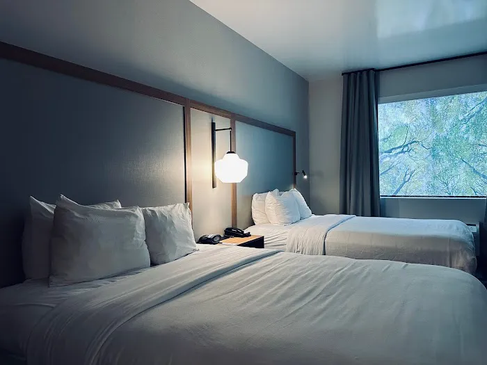 Hotel Scottsdale 5