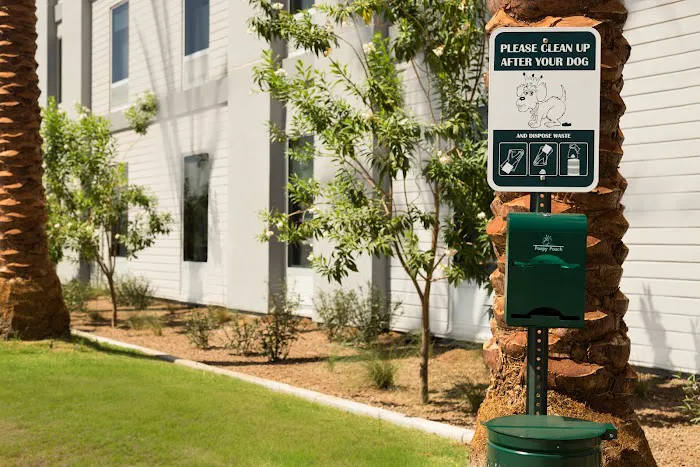 Home2 Suites by Hilton Phoenix Chandler 4