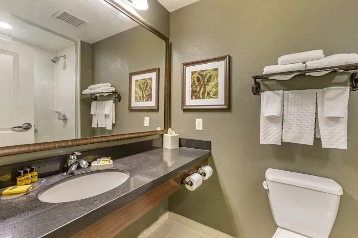 Best Western Plus Chandler Hotel & Suites 4