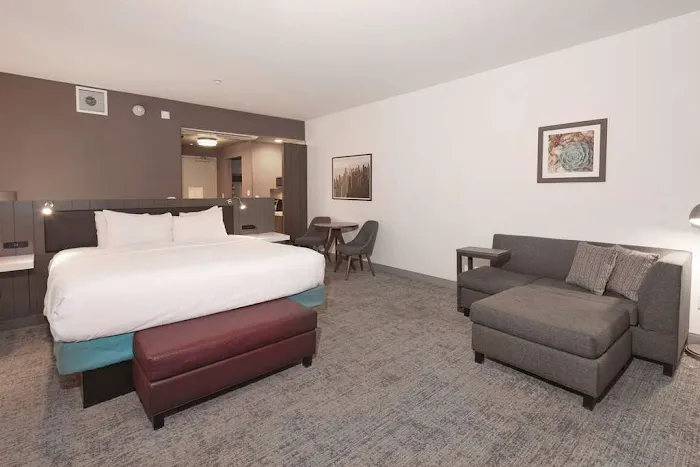 Hilton Garden Inn Chandler Downtown 5