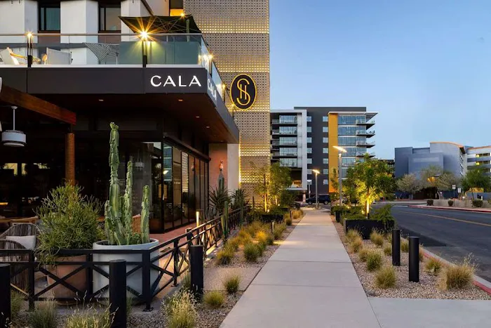 Senna House Hotel Scottsdale, Curio Collection by Hilton 5
