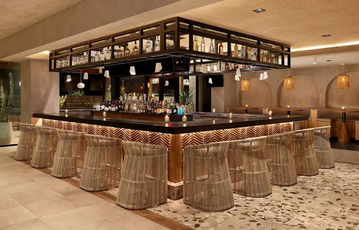 Senna House Hotel Scottsdale, Curio Collection by Hilton 5
