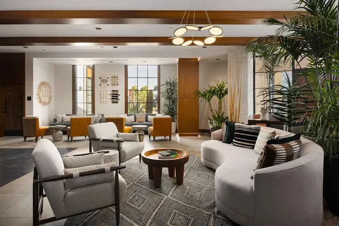 Senna House Hotel Scottsdale, Curio Collection by Hilton 5