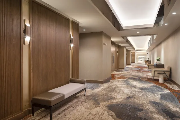 Caesars Republic Scottsdale, a Hilton Hotel 5