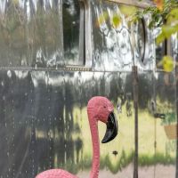 The Cozy Peach at Schnepf Farms