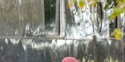 The Cozy Peach at Schnepf Farms
