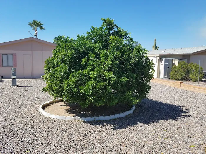 Tierra Del Sol RV Resort Association 4