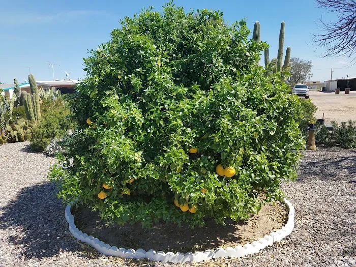 Tierra Del Sol RV Resort Association 4
