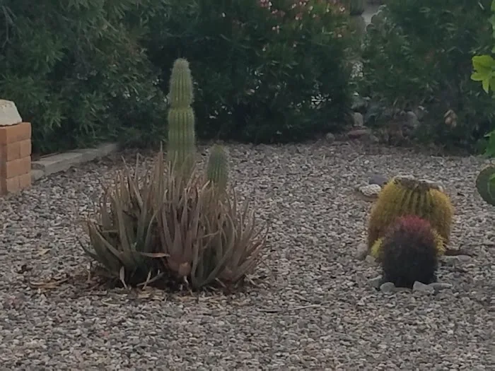 Tierra Del Sol RV Resort Association 4