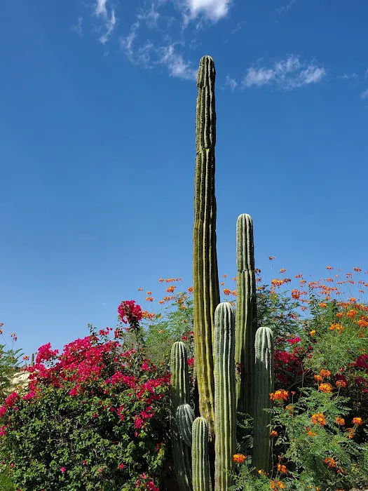 Camelback Inn 4