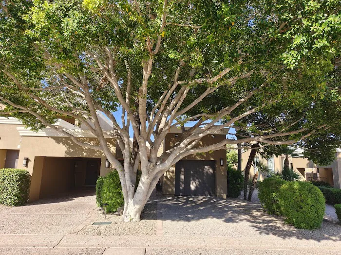 Phoenician Residences, a Luxury Collection Residence Club, Scottsdale 5