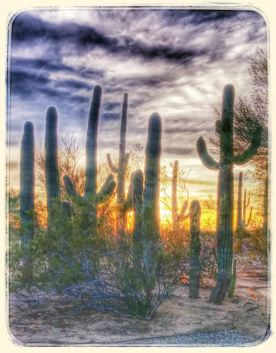 Rancho Sonora Hotel 4