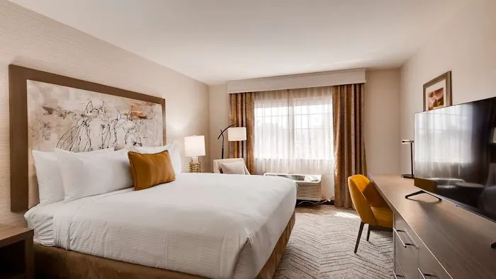 Aiden by Best Western Scottsdale North 5