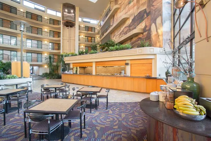 Embassy Suites by Hilton Phoenix Biltmore 5