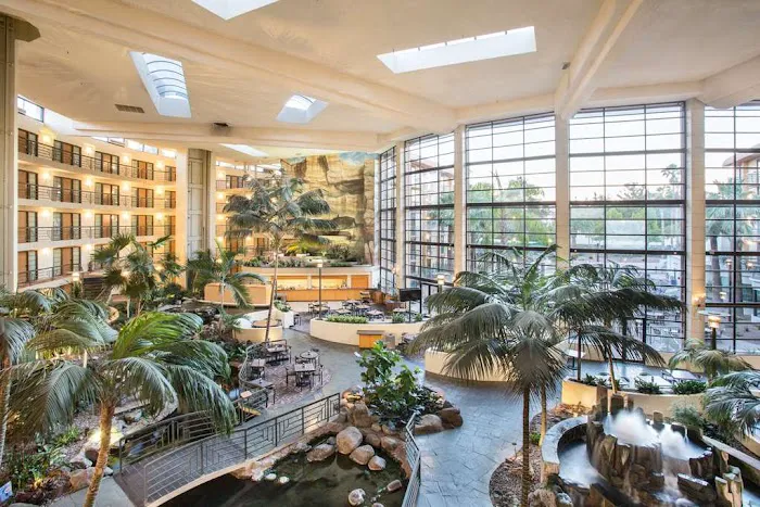 Embassy Suites by Hilton Phoenix Biltmore 5