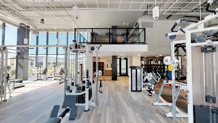 Kasa Scottsdale Quarter Phoenix 5