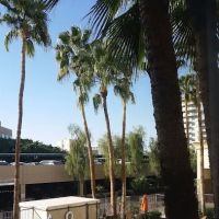 Hampton Inn Phoenix-Biltmore ico